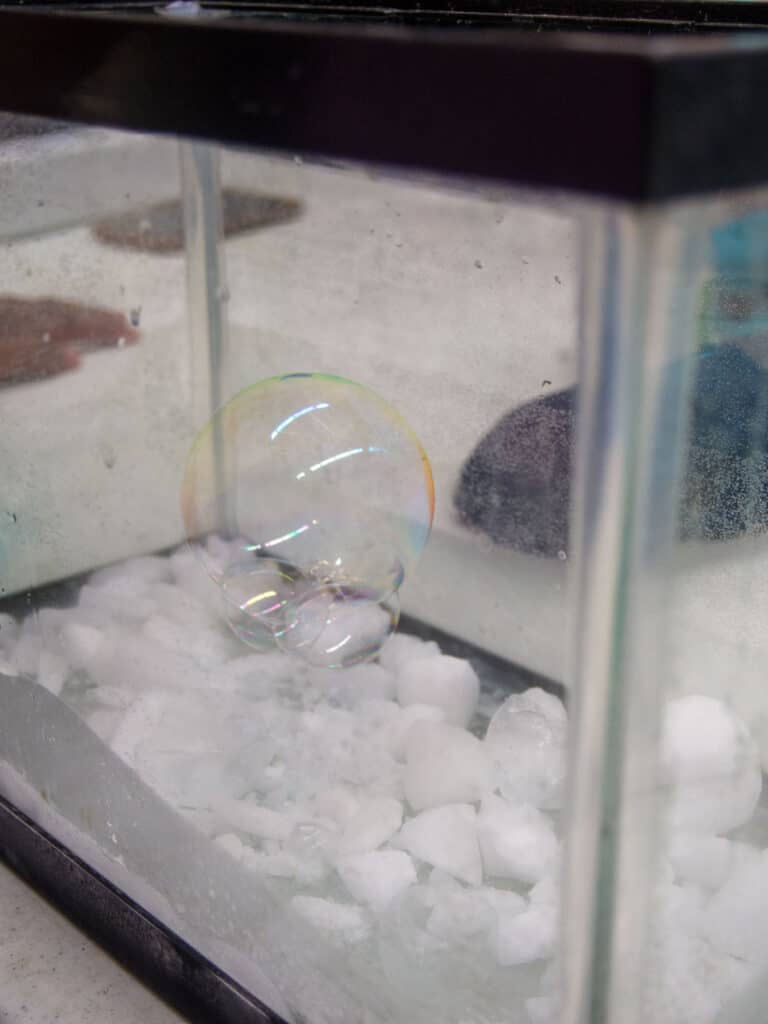 Bubble floating above dry ice. 