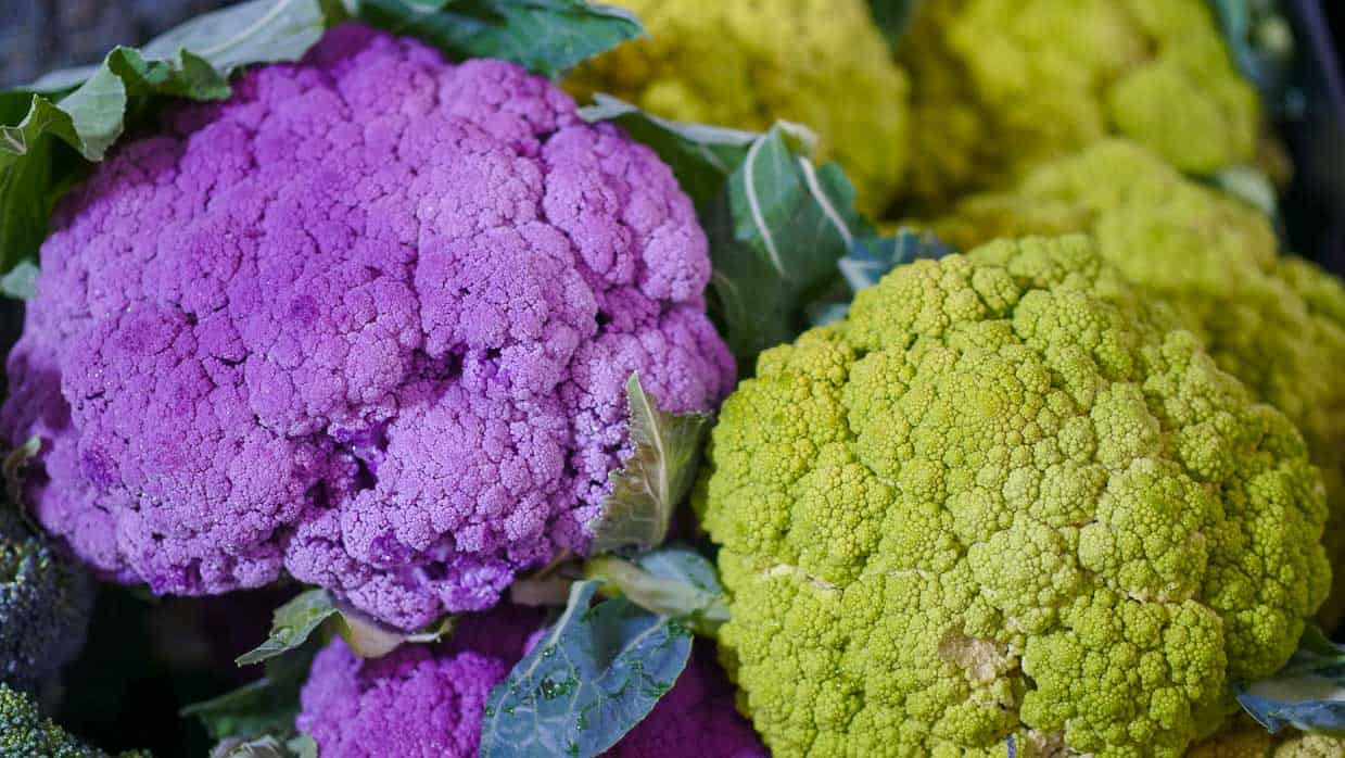 Purple and green cauliflower heads.