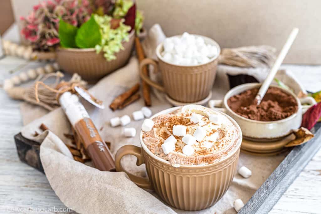 Sugar Free Hot Chocolate Mix.