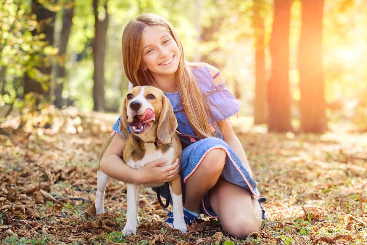 Beagle with a young, smiling girl.