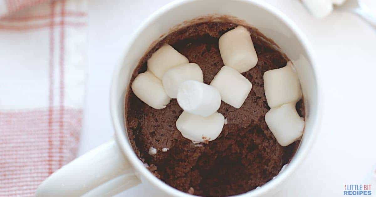 Hot chocolate mug cake with marshmallows.