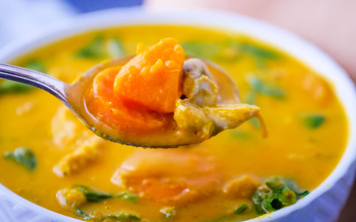 An Instant Pot recipe featuring a spoonful of chicken and squash soup.