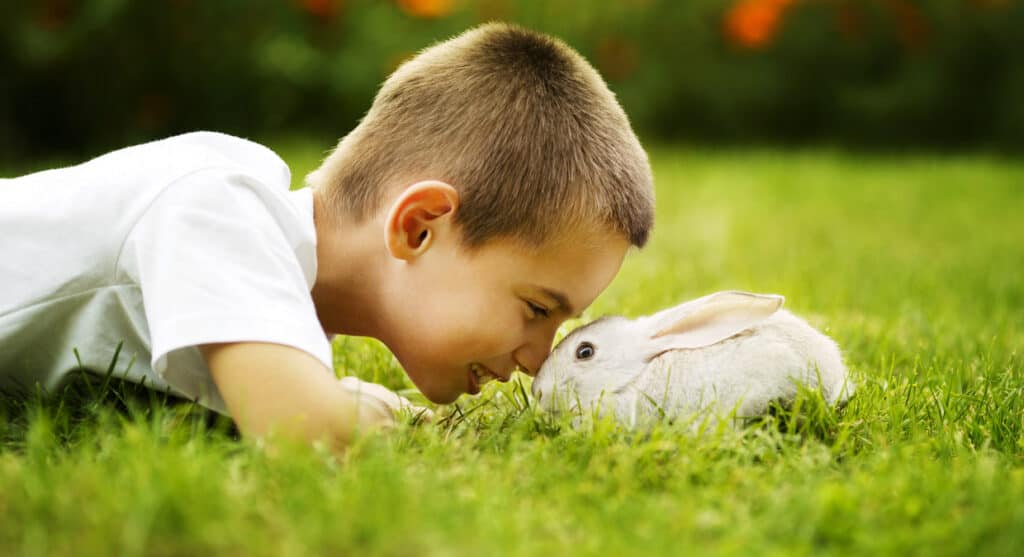 Boy with pet rabbit.