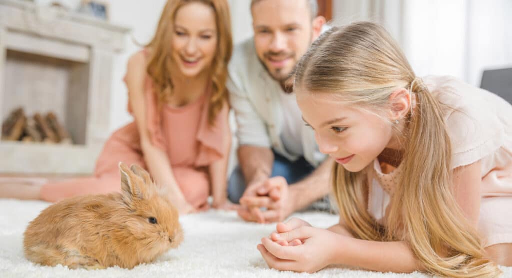 happy family with rabbit.