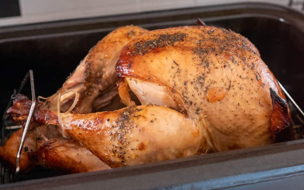 turkey in a roaster pan.