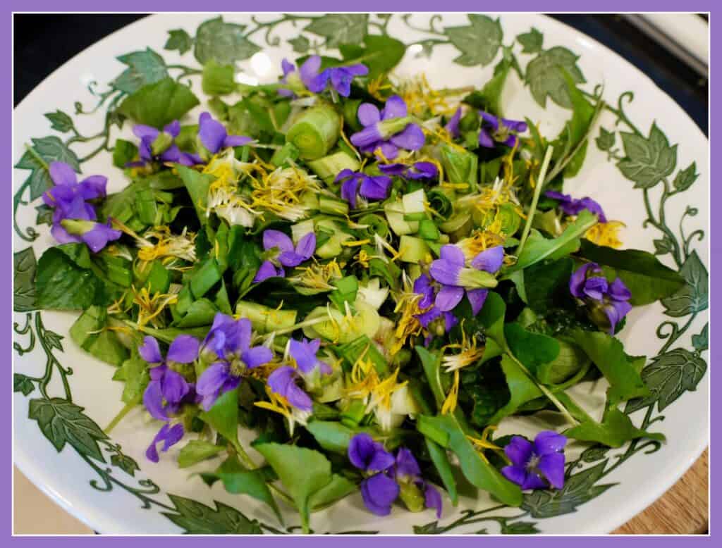 Wild greens and edible flowers in a patterned bowl.