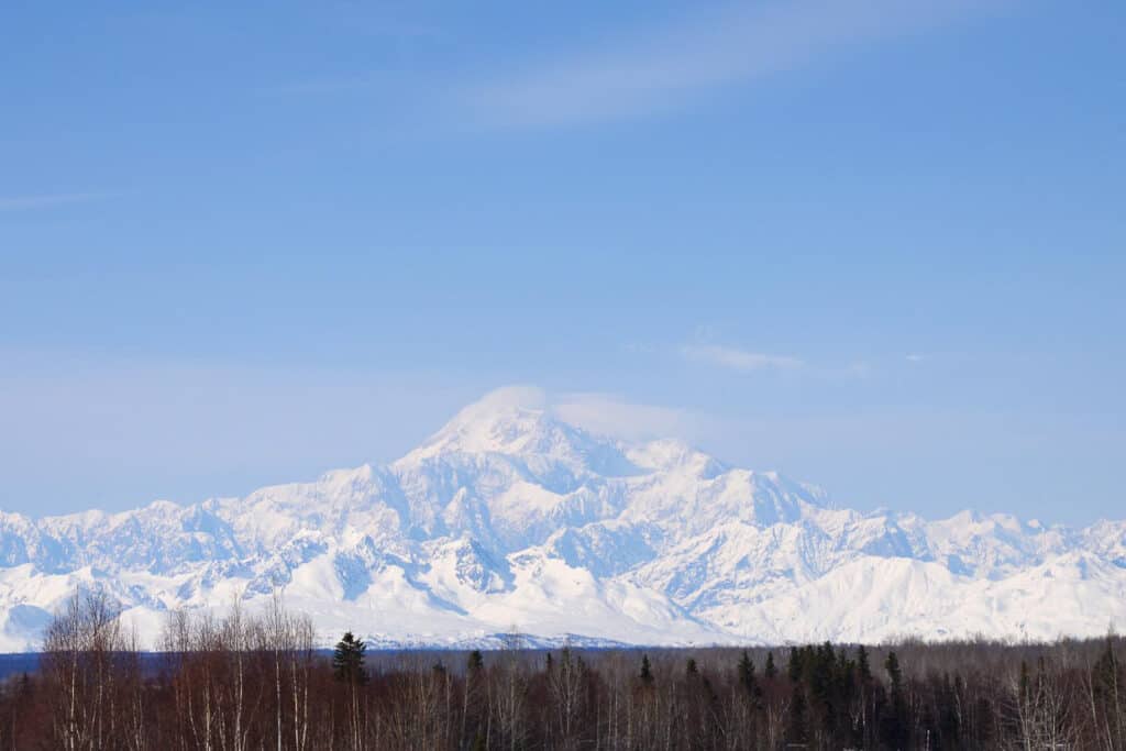 Denali, the Great One rises above a boreal forest in Alaska. 