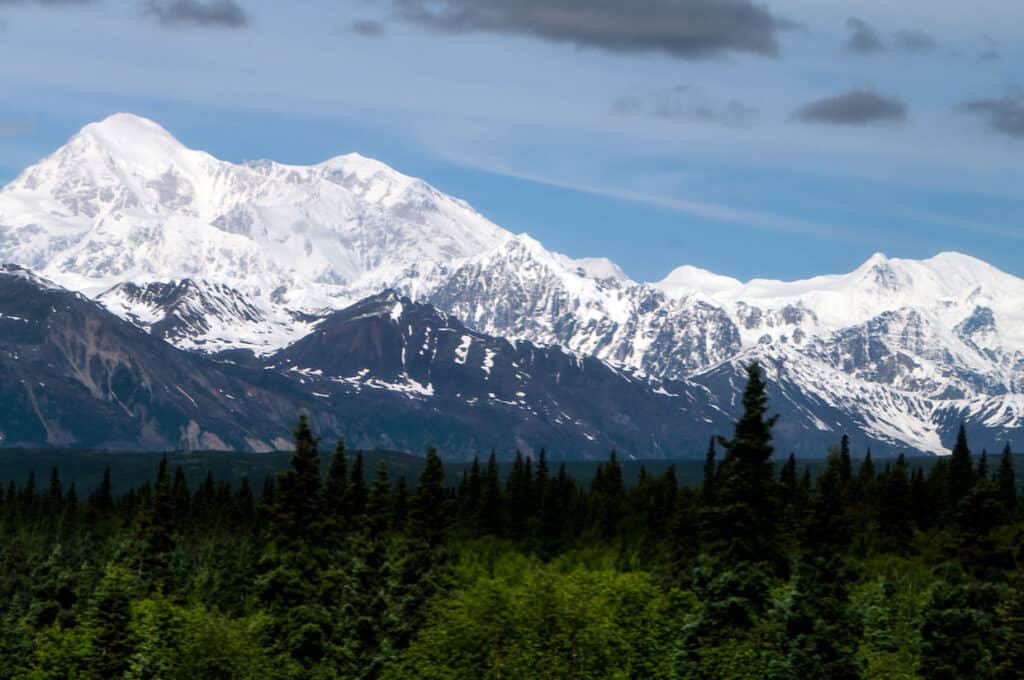 Mountains in Alaska rising above a spruce forest. 