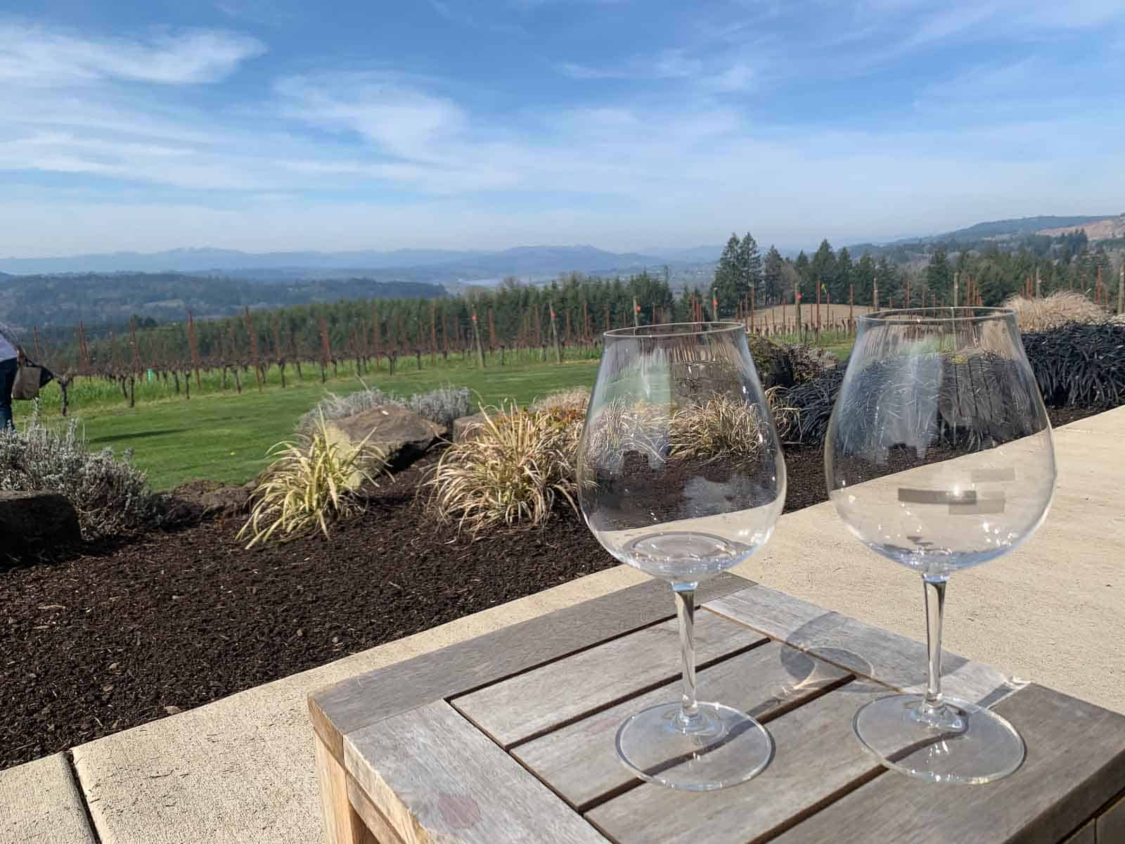 Landcscape view from a winery with mountains in the background and wine glasses up front.