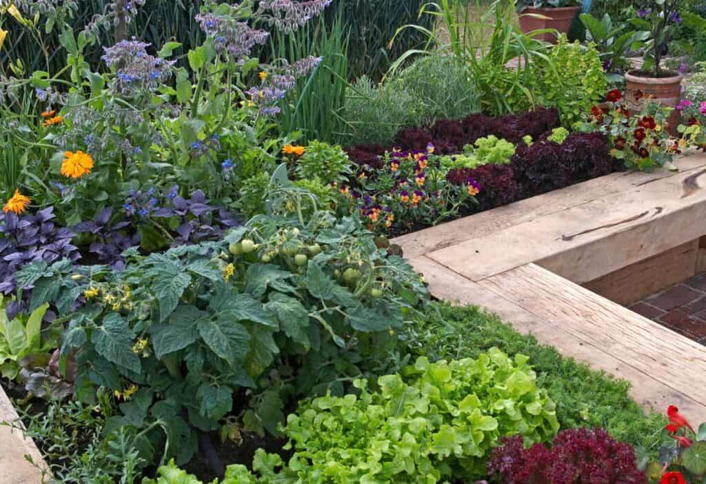 Potager garden with flowers and herbs.
