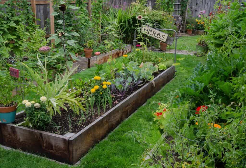 Potager garden with raised beds and sign.