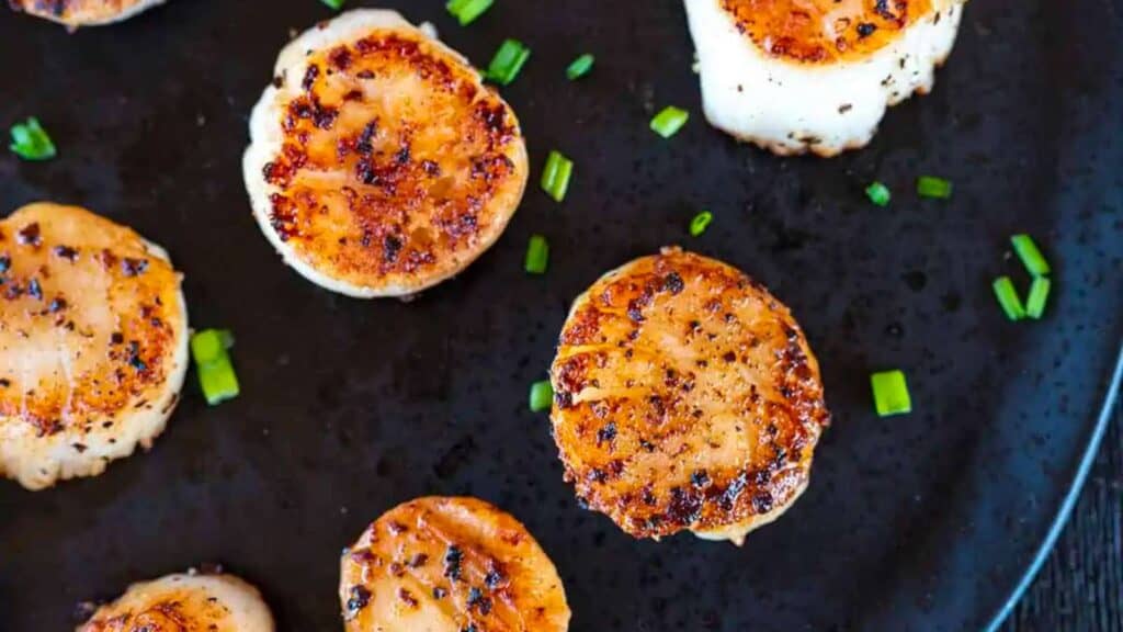seared scallops on griddle.