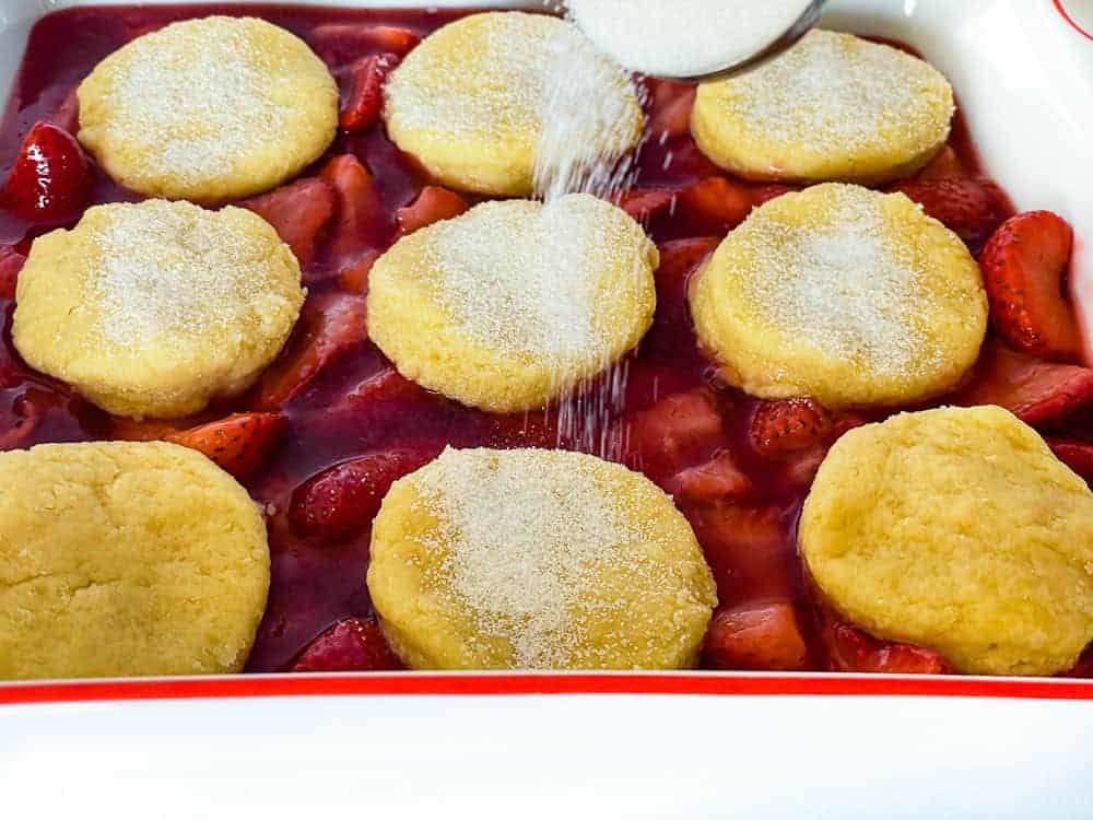 Fresh strawberries topped with cobbler biscuits getting sprinkled with sugar. 