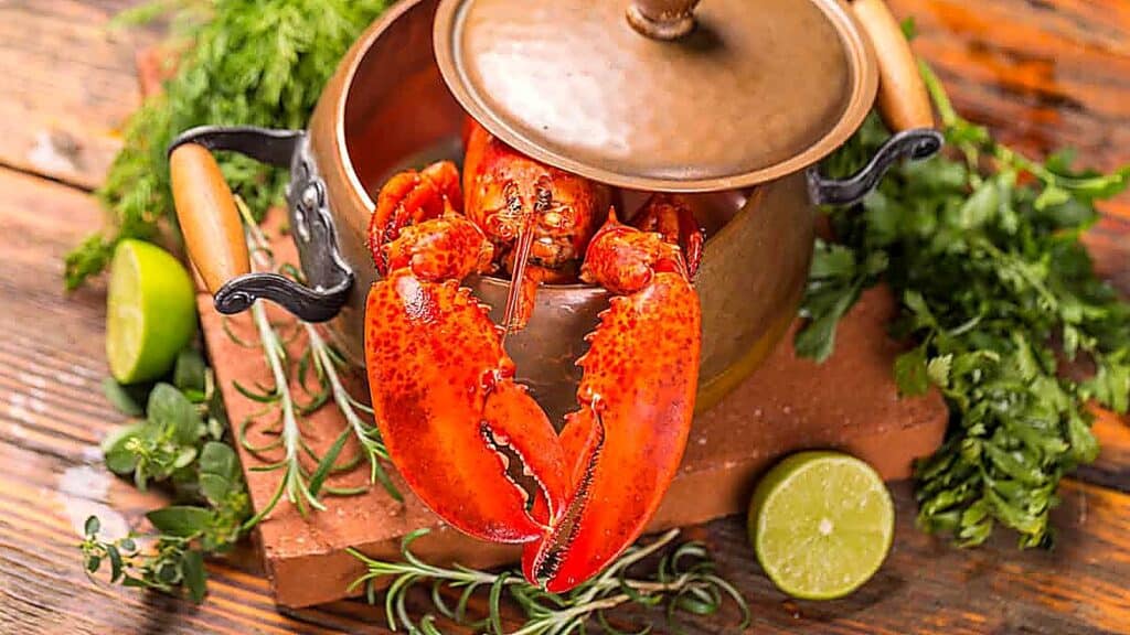 A cooked lobster sits in a metal pot with the lid partially open, surrounded by fresh herbs and lime halves on a wooden surface&mdash;an inviting scene for anyone curious about how to cook lobster perfectly at home.