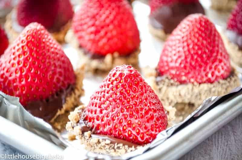 Cheesecake stuffed strawberries with chocolate and graham crackers on them.