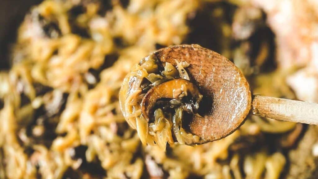 Caramelized onions and mushrooms on a wooden spoon.