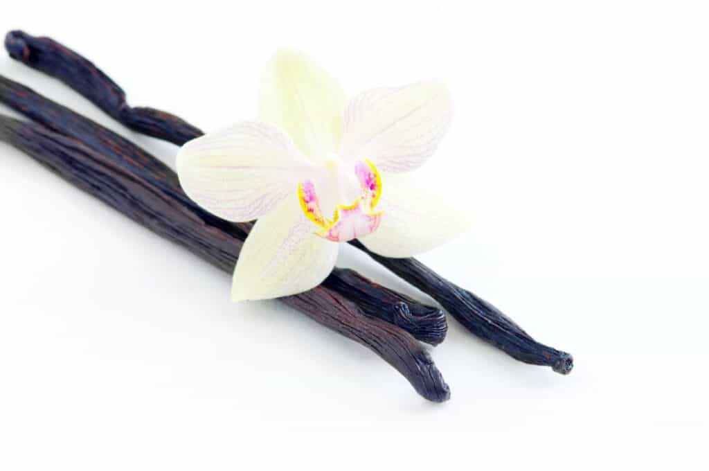 Fresh vanilla beans with a white orchid flower on top.