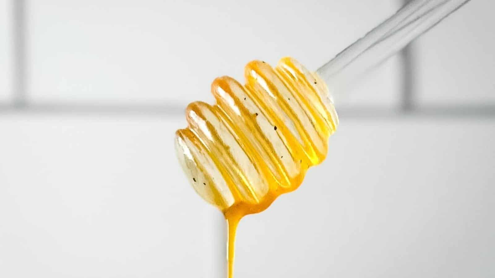 Closeup of honey dipper dripping hot honey sauce in front of a white subway tile wall.
