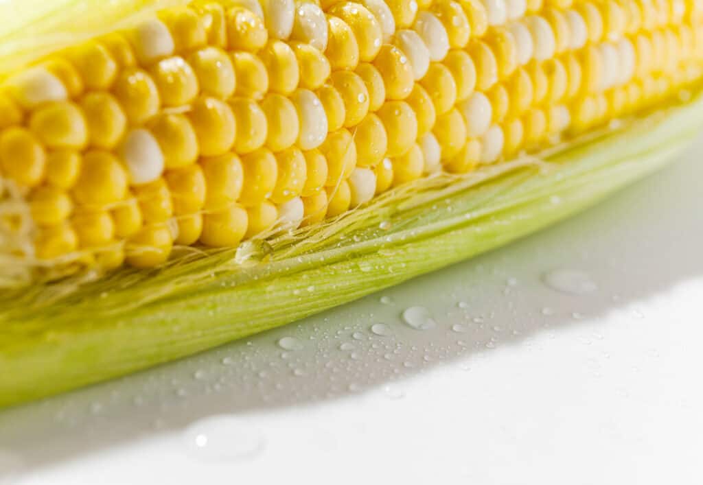 A closeup view of an ear of corn with water droplets on it.