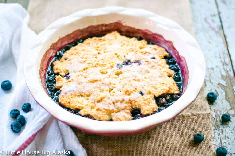 Blueberry Grunt in a pie dish with blueberries around it. 