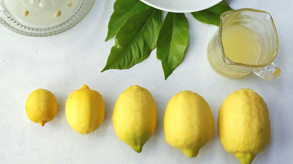 Five different sizes of lemons and a cup of lemon juice.