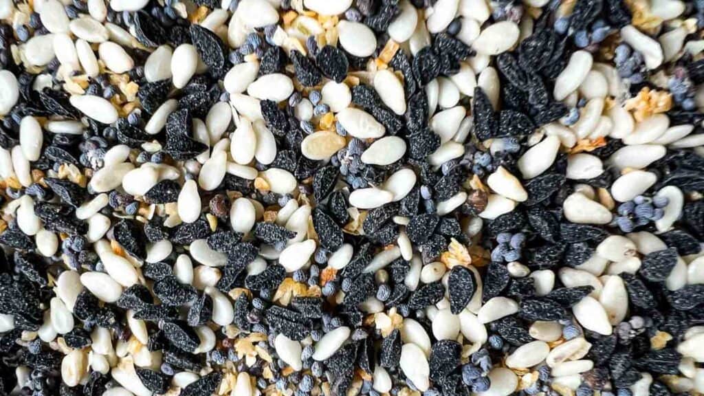 Close up of all the seasoning seeds and spices.