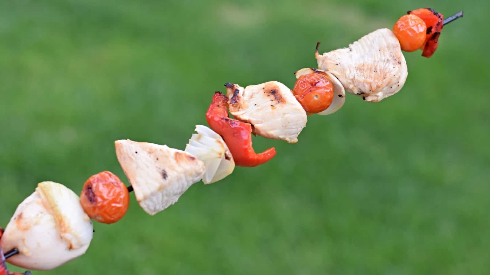 Image shows a skewer of lemon marinated chicken held diagonally with green grass in the background.