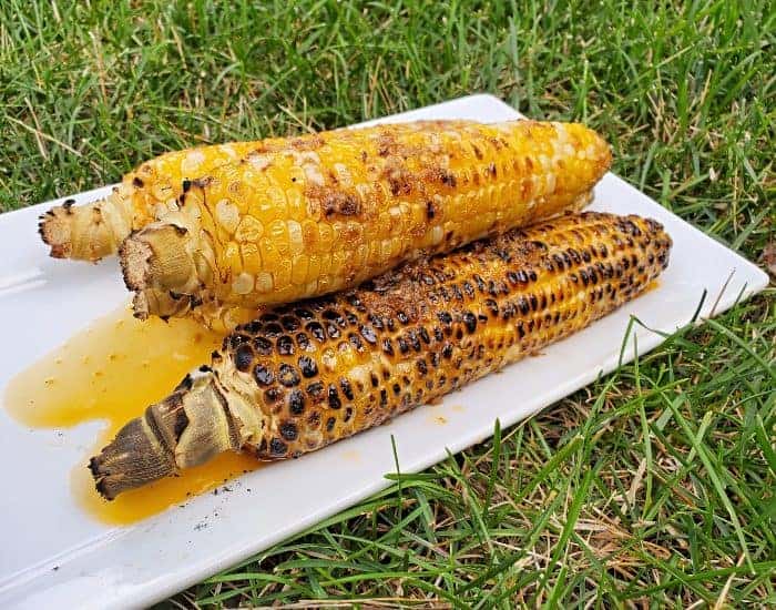 Image shows a white tray filled with chipotle grilled corn on the cob sitting on green grass.