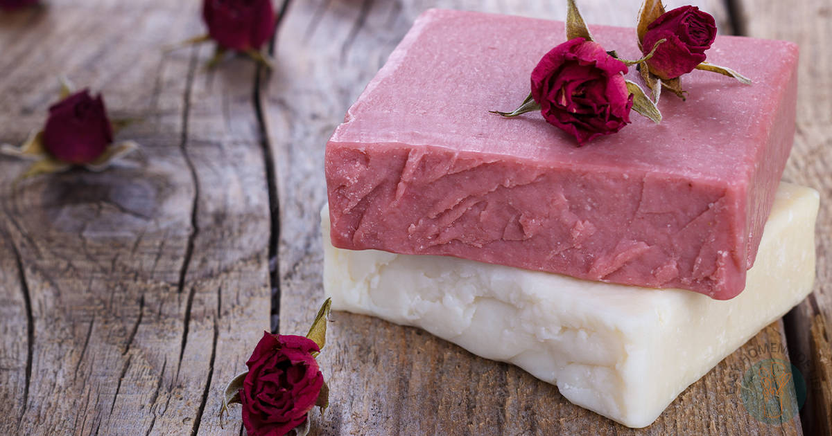 Valentine's day rose soap two bars close up view one white and one pink stacked with rose buds and wooden background.