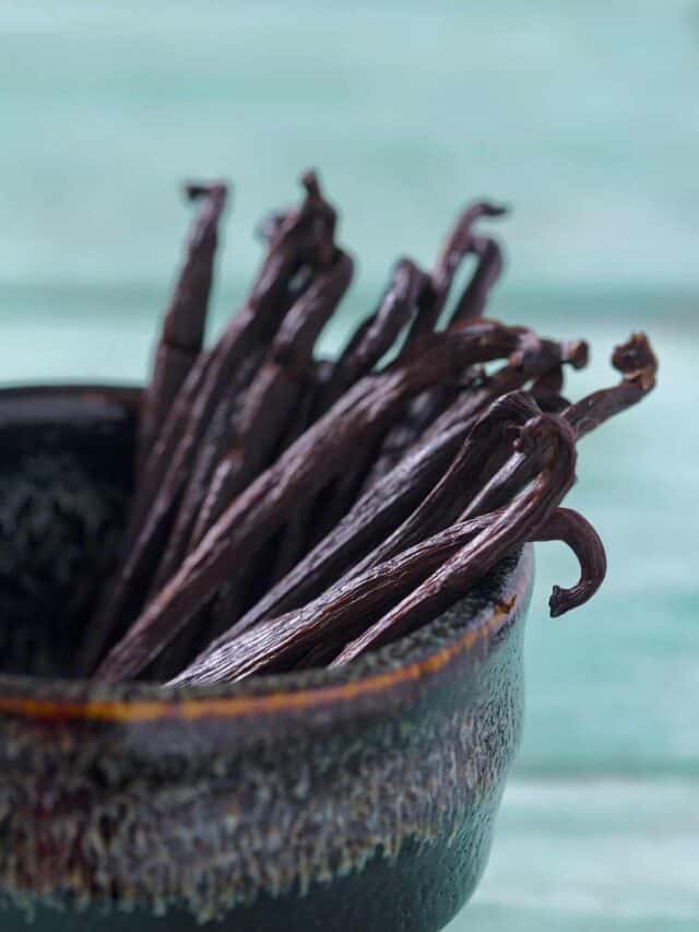 The Sweet And Savory World Of Vanilla Beans