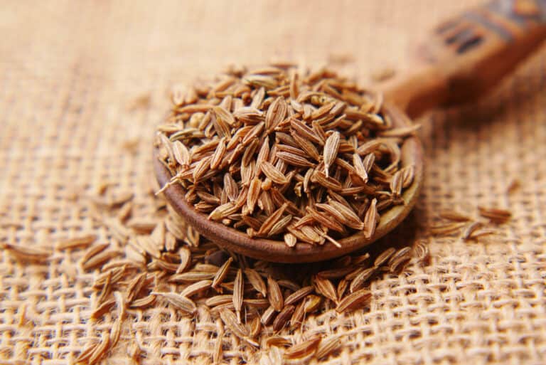 Wok stars: Unlocking the magic of Chinese spices
