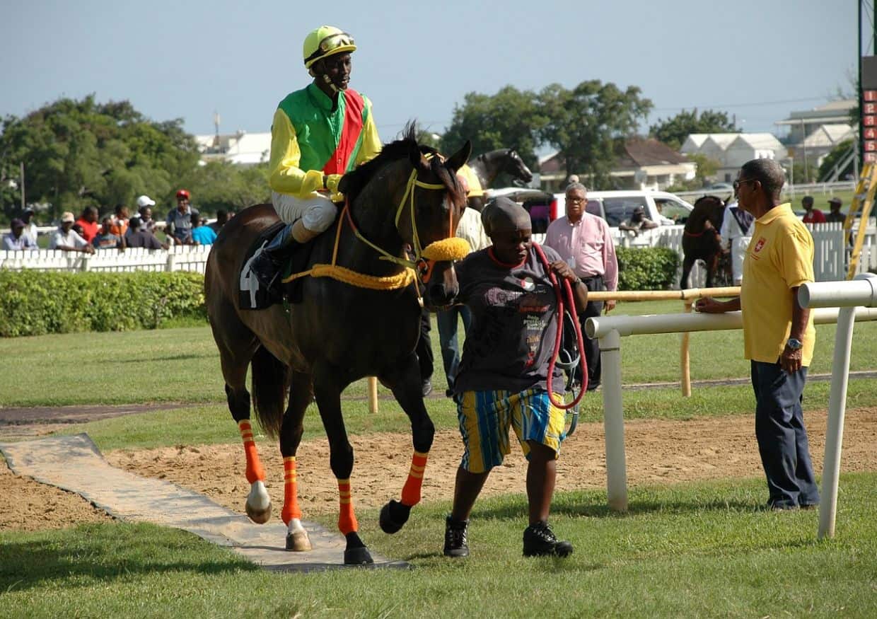 10 must-do activities for an unforgettable trip to Barbados