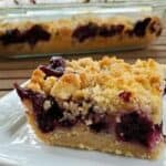 Image shows a Blueberry Crumb Bar on a plate with the full container behind it.