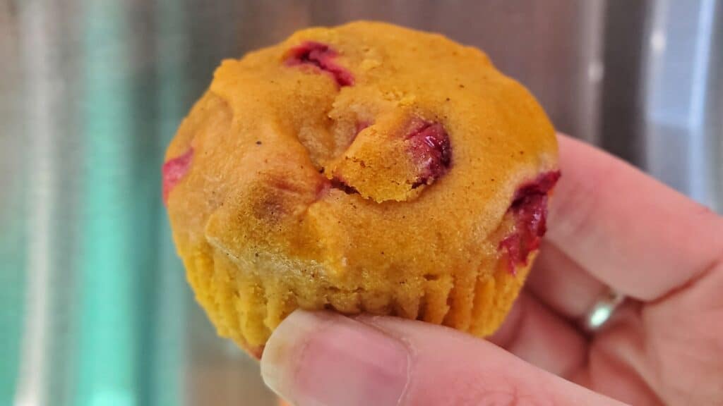 Carrot cranberry muffin held in a hand.