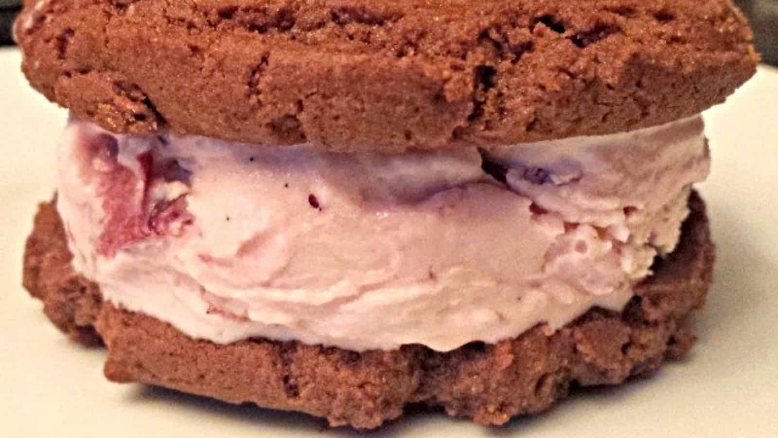 Chocolate cherry ice cream sandwich extreme close up.