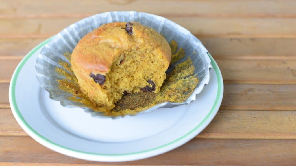 Chocolate chip pumpkin muffin missing a bite on a plate.