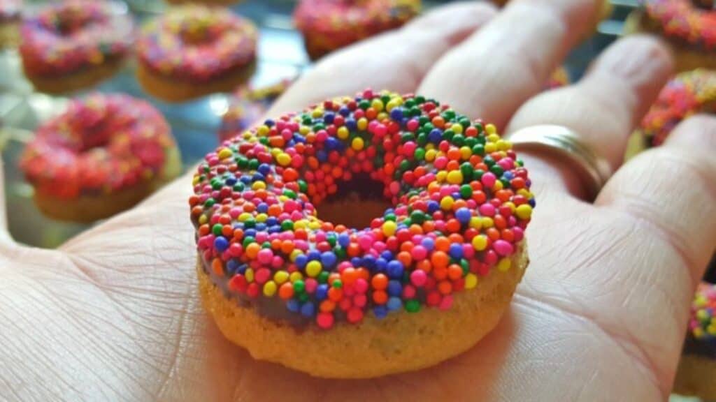 Image shows a Chocolate frosted mini donut held in a hand.