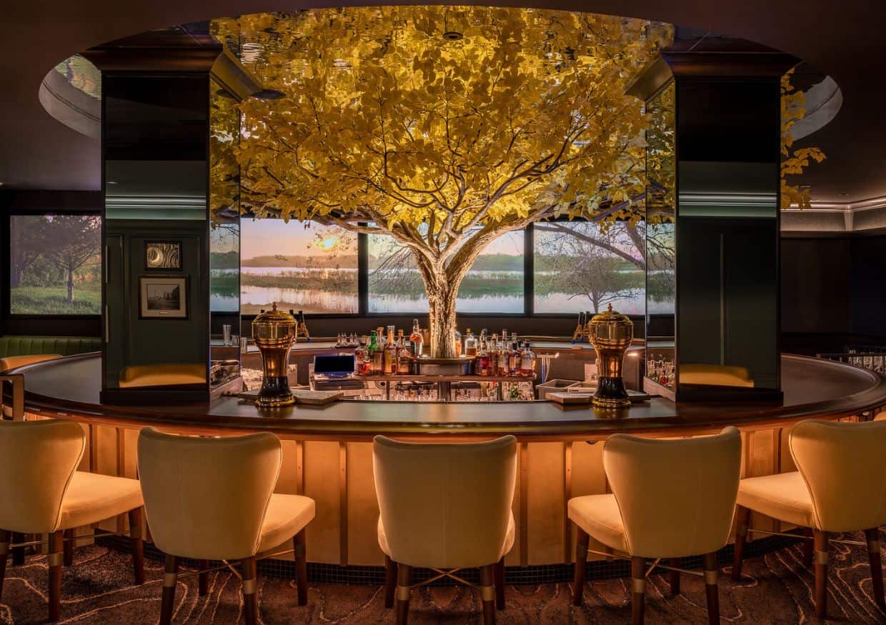 A cottonwood tree "growing" by the bar at the Kimpton Cottonwood.