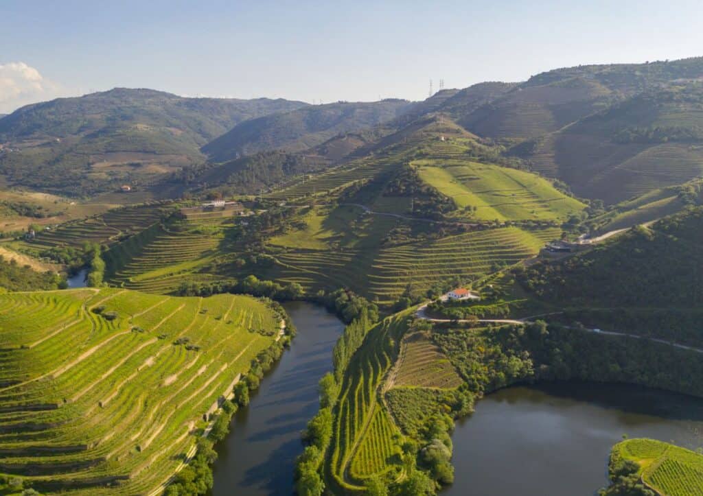 Douro River: Portugal's wine history