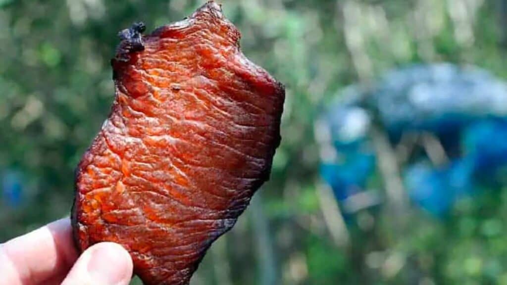 Hand holding piece of sweet tea pork jerky.