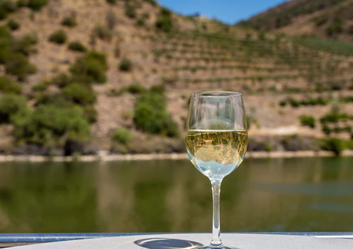 White wine in a glass with vineyards in the background.