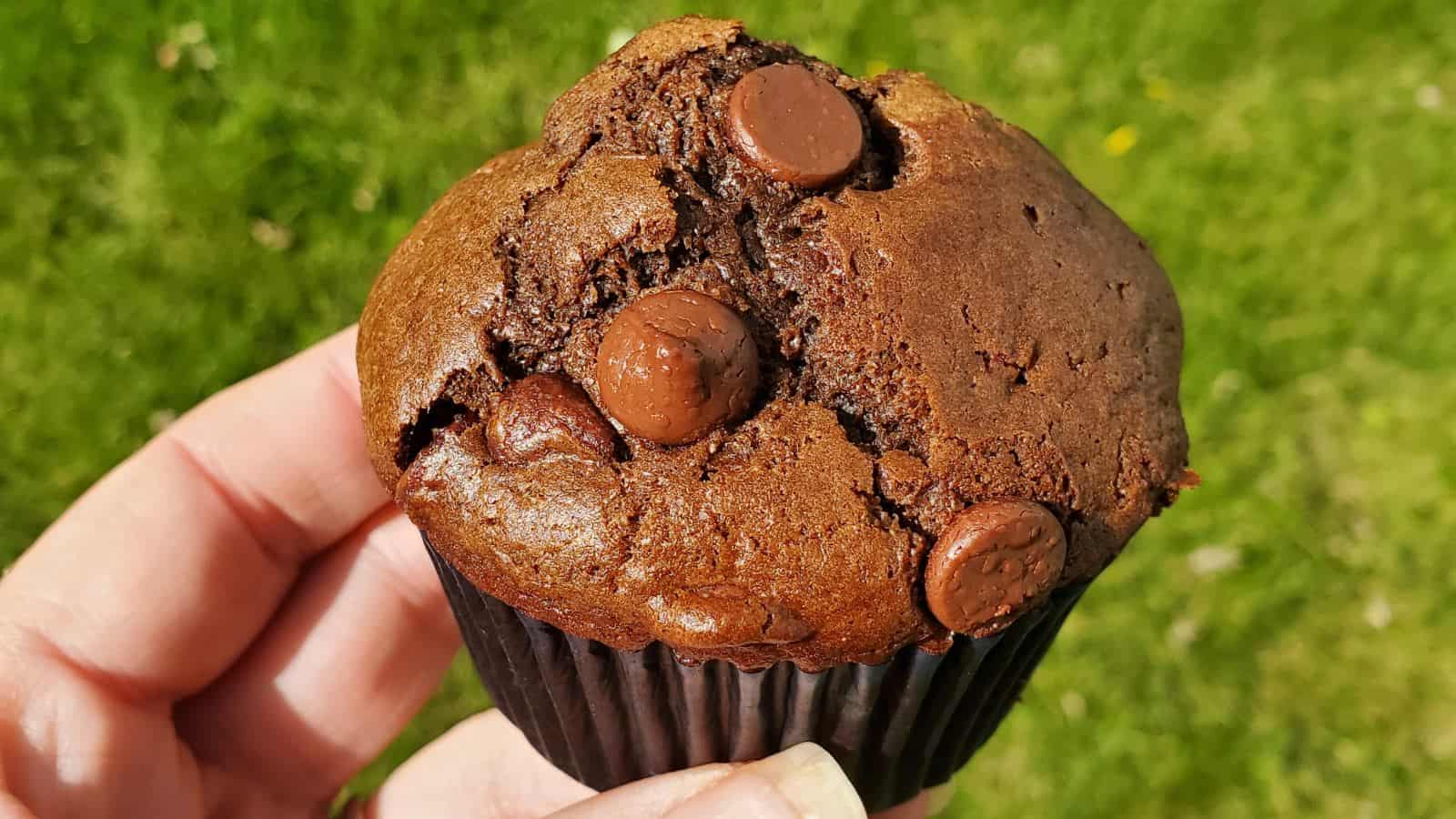 Hand holding a double chocolate muffin.
