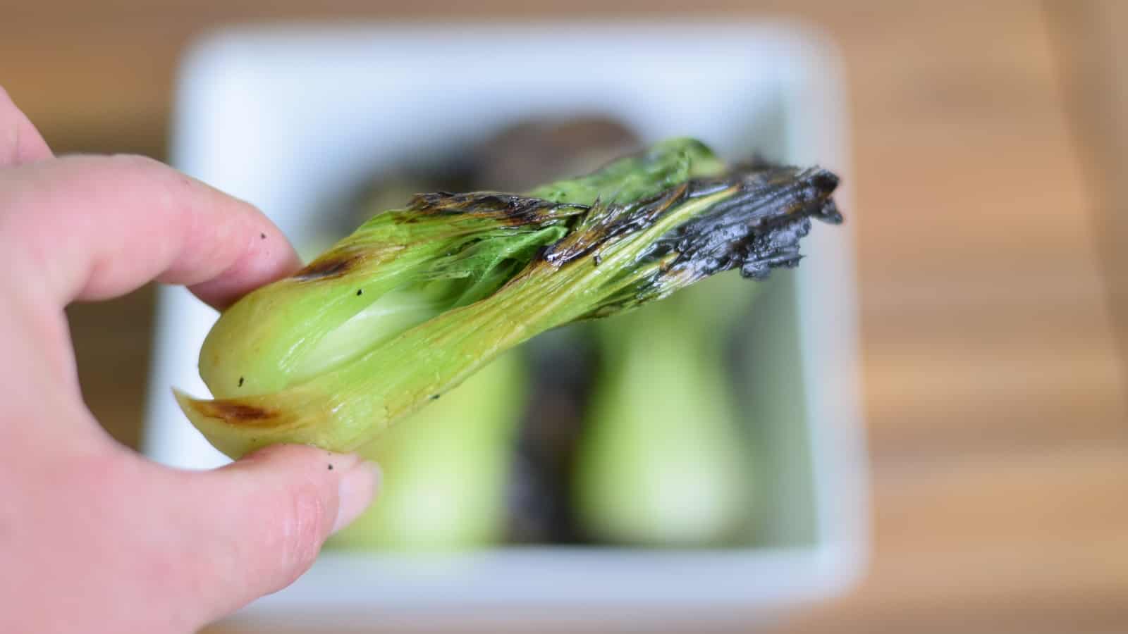 Image shows a hand holding a piece of grilled baby bok choy over a bowl containing more bok choy.