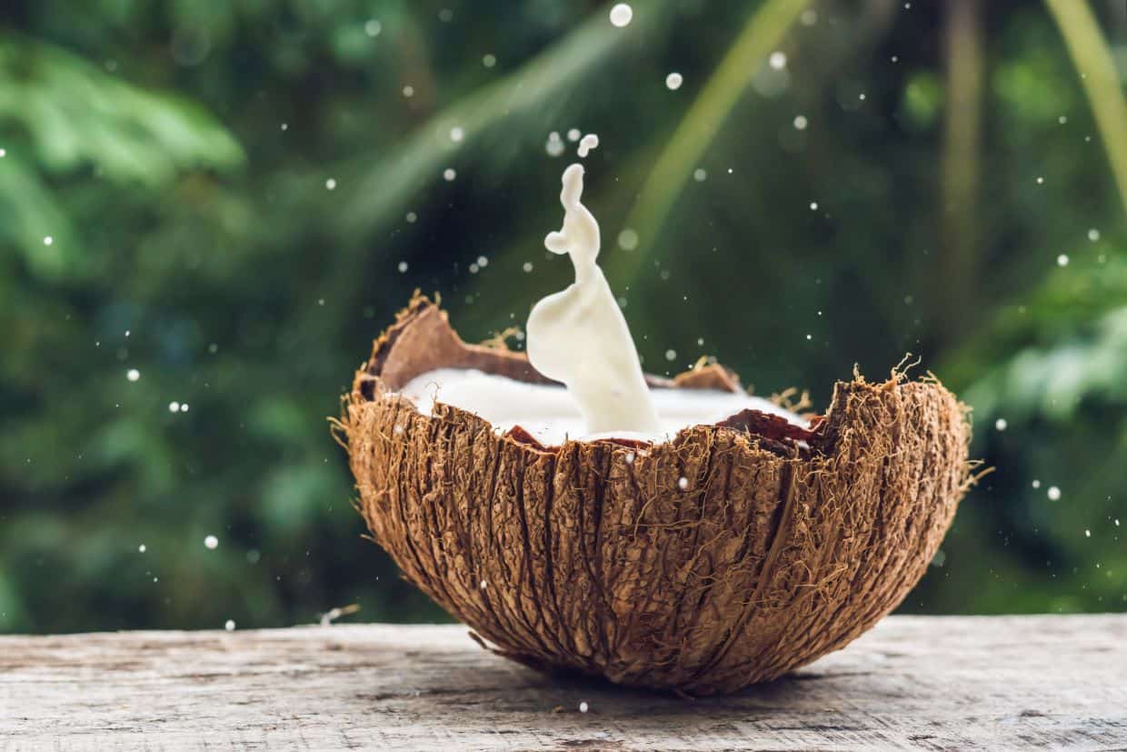 Opened coconut with coconut milk splashing out.