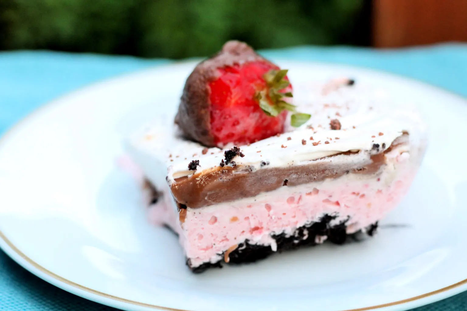 up close picture of a piece of chocolate covered strawberry dessert