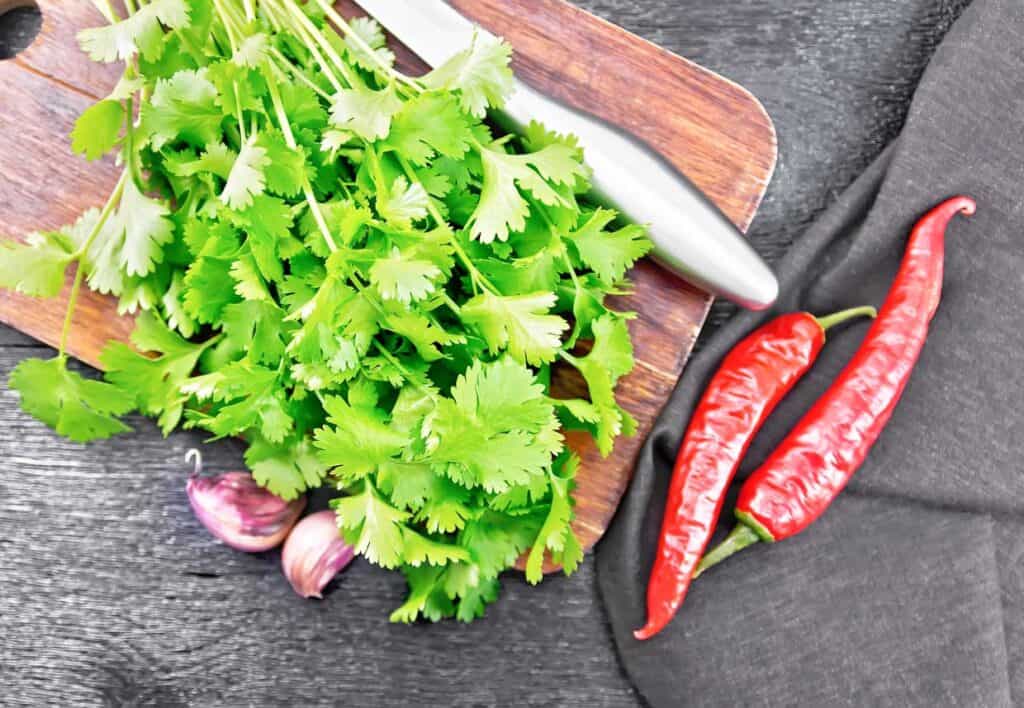 Cilantro, garlic, and chilis on a wooden cutting board.