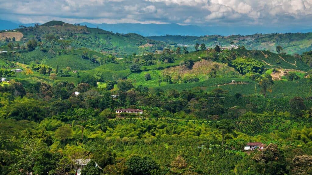 A vivid green mountain landscape in Colombia.