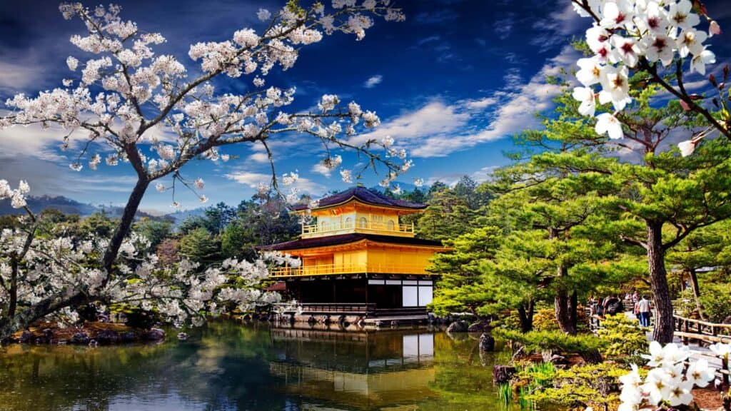 Cherry blossom trees surrounding a golden temple in Japan.