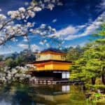 Cherry blossom trees surrounding a golden temple in Japan.