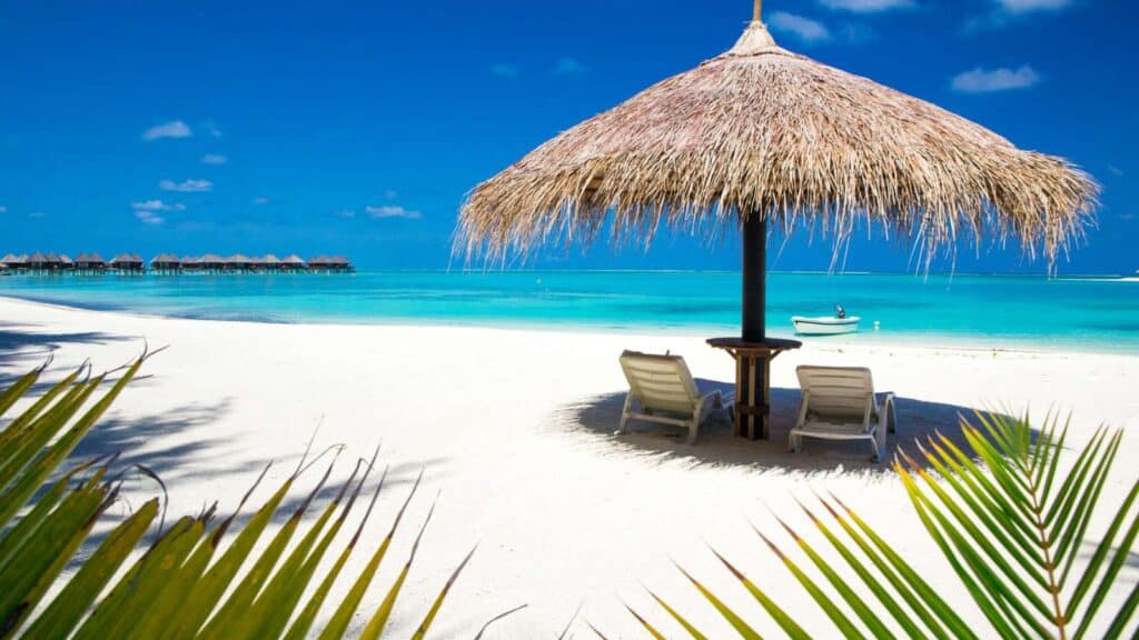 A white sand beach in Maldives.